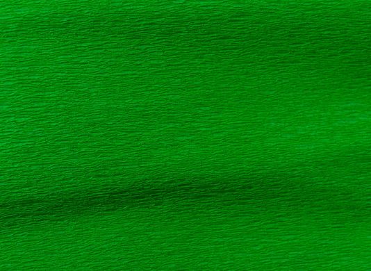 Бумага гофрированная 1Вересня светло-зеленая 55% (50см*200см)