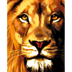 Набор в коробке, картина по номерам "Величественный лев", 40*50 см., SANTI