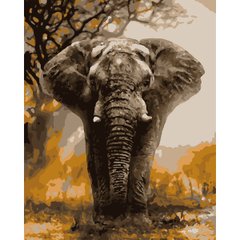 Набор, картина по номерам "Слон", 40*50 см., SANTI
