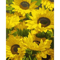 Набор, картина по номерам "Солнечные цветы", 40*50 см., SANTI