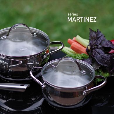 Набор посуды Fissman MARTINEZ 6 предметов со стеклянными крышками (15829)