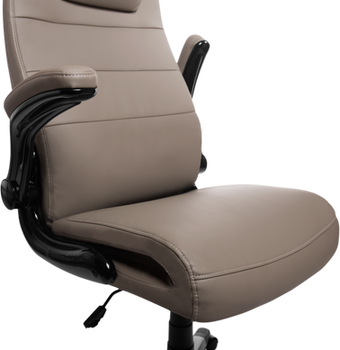 Офісне крісло GT Racer D-9186H-2 Gray